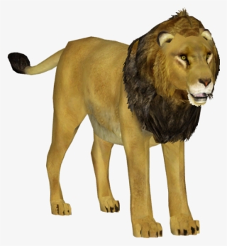 Asiatic Lion M - Zoo Tycoon Asiatic Lion