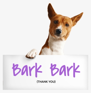 Thank You For Reaching Out To Us - Bar