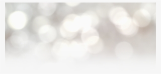 Bokeh-full - Macro Photography