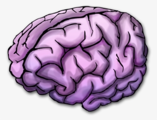 Vector Freeuse Stock Purple Transparent Brain - Purple Brain