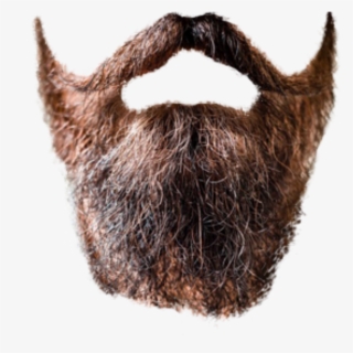Beard Transparent - Beard Png