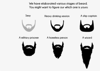 Wizard Beard Png Clip Library Download - Stages Of Beard Growth Funny