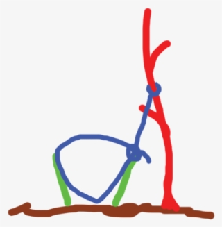 The Standard Handmade Trap, It Is Essentially A Noose