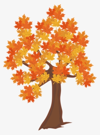 Fall Leaves Falling From A Tree Png Real Trees - Clipart Autumn Tree