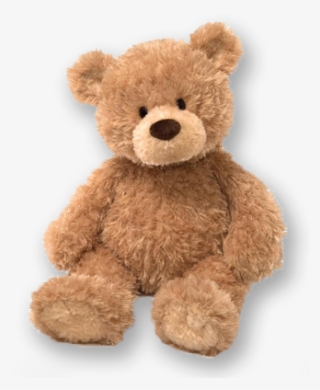 Teddy Bear's Picnic A Great Success - Teddy Bear