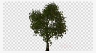 Bts Meme Png Clipart Bts - Transparent Camera Png Icon