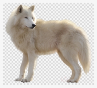 Download White Wolf Png Clipart Arctic Wolf Clip Art - Clip Art