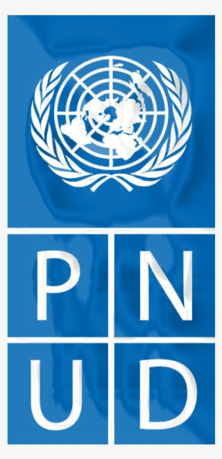 Accesorios Amigos De Zidane Y Ronaldo - Tell Me About The United Nations