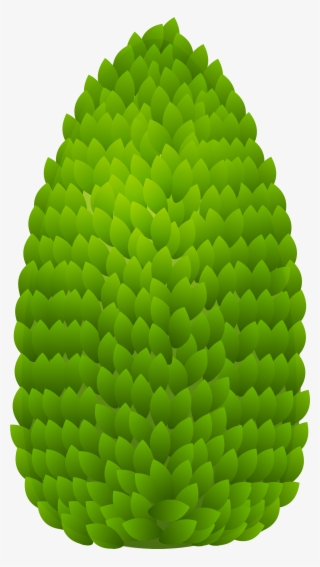 Outdoor Plant Png Clipart - Outdoor Plant Clipart Png