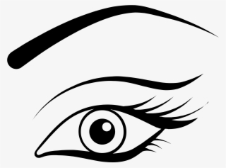 Eyebrow