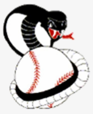 Columbus Cobras Baseball - Columbus Cobras