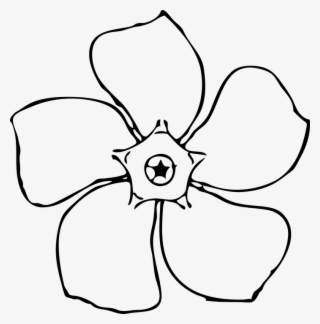 Periwinkle, Flower, Black And White, Floral, Macro - Tranh Tô Màu Bông Hoa 5 Cánh