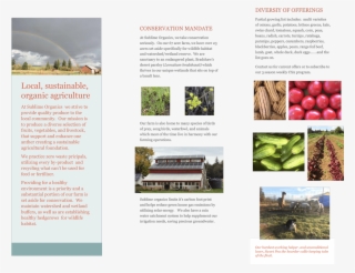 Leaflet-2 - Tree