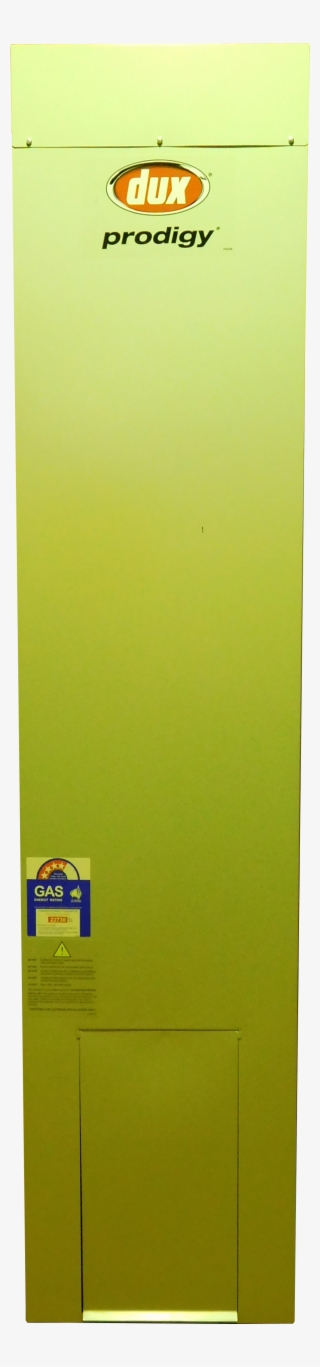 Dux Prodigy 170zb4n 170l Gas Hot Water System - Door