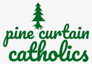 Pine Curtain -logo - Sunshine Soul Pillow Case