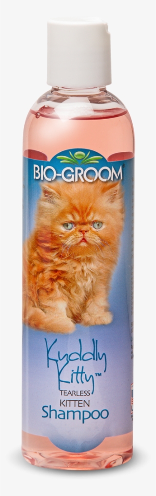 Kuddly Kitty™ - Bio-groom Groom N Fresh Cond Shampoo 12oz