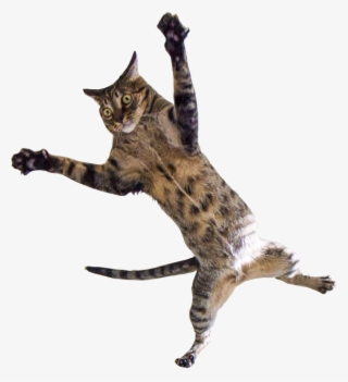 Jumping Cat Png Jpg Royalty Free Library - Cat Spread Eagle
