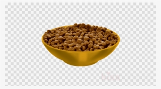 Cat Food Png Clipart Cat Food Dog - Logo Dream League Soccer 2018