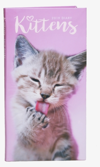 Kittens Teach Us 2018 Wall Calendar