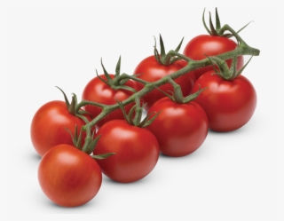 Cocktail Vine Tomatoes - Tomate Cocktail Grappe
