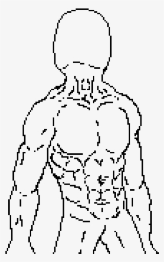 Body Outline - Squirtle