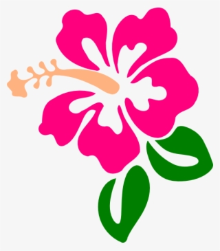 Hibiscus 9 Svg Clip Arts 522 X 596 Px
