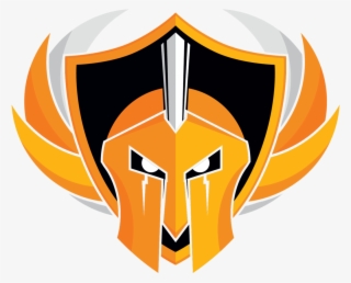 Professional Esports Organization - Esports