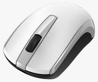 Computer Mouse