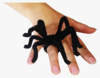 Bend It They Way You'd Like Your Spiders To Look Like - Halloween Crafts With Pipe Cleaners
