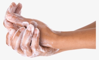 Washing Hands Png - Washing Hands Transparent