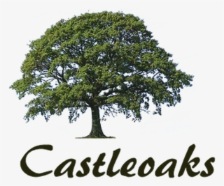 Castle Oaks, Dublin Road, Carlow Town, Co