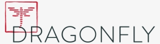 Dragonfly Sushi Logo