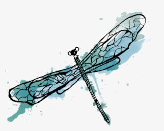 Com Static 580c346b2e69cf2049e88308 T 58d96f891e5b6c510e99b25a - Dragonfly