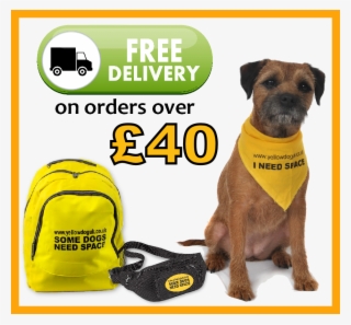 Newsletter - Subscribe - Yellow Dog I Need Space