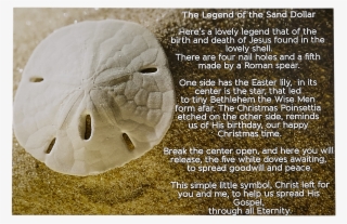 Sand Dollar Happy Birthday