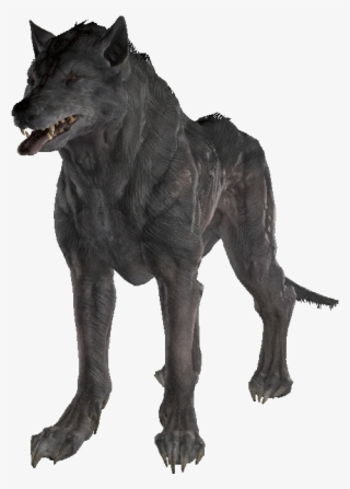 The Vault Fallout Wiki - Feral Wolf Fallout