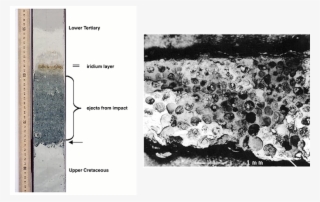 Carrol Br8 - Kt Boundary Cross Section