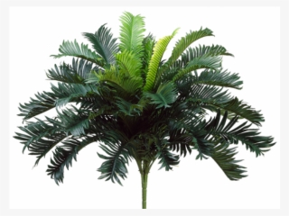 25" Cycas Palm Bush X35 - 25" Artificial Cycas Palm Bush