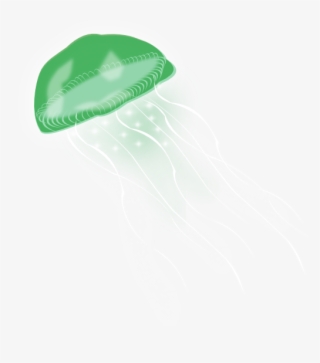 Jellyfish Png