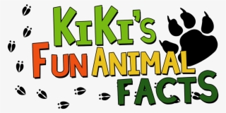 Kikiofthefacts On Twitter - Emu