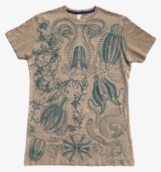 Jellyfish - Asheville Apparel - Ctenophorae Nature By Ernst Haeckel Art Print 24 X