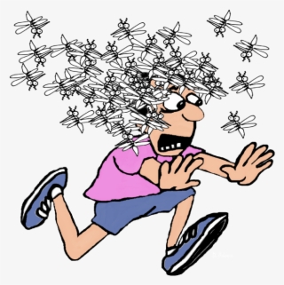 Mosquito Attack