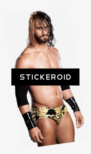 Seth Rollins Wwe - Wrestler