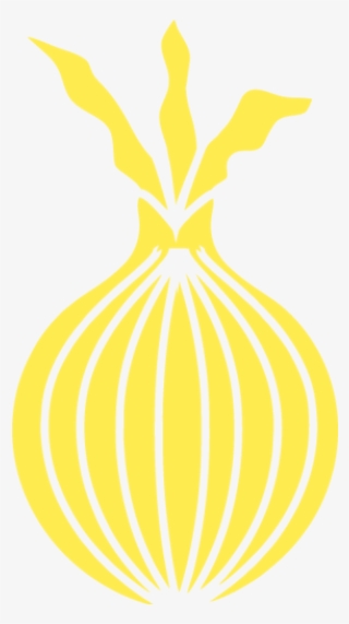 Onion - Illustration