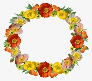 Wreath, Border, Poppies, Floral, Frame, Decorative - Opium Poppy