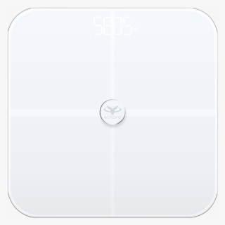 Oxstren Wearable Technologies Private Limited