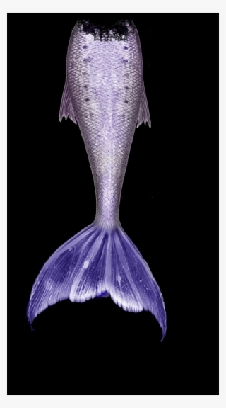 Mermaid Tail