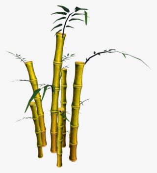 Bamboo Png, Download Png Image With Transparent Background, - Bamboo