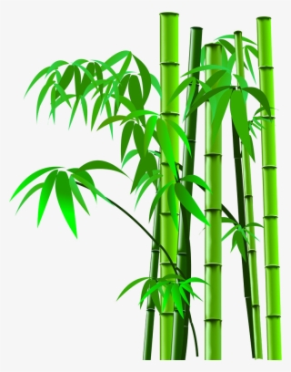 Bamboo Png