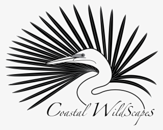 Banner Download Coastal Wildscapes Home - Coastal Wildscapes
